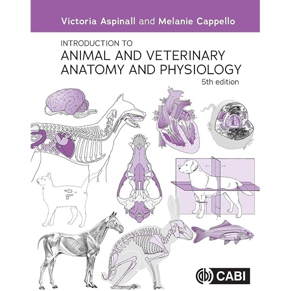 Anatomy and Physiology of Domestic Animals: 9781394304240